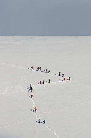 100 Antarctica, Cuverville Island.jpg